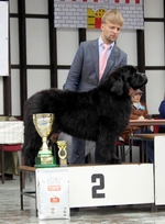 Junior Champ.CR SLO OLIVIE NEWTON JOHN od Trojsk� sk�ly - 2.a 3.BIG FCI II.