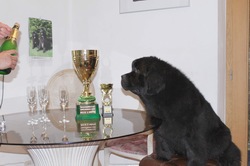 Junior Champ.CR a SLO OLIVIE NEWTON JOHN od Trojsk� sk�ly - 2.a 3.BIG FCI II.